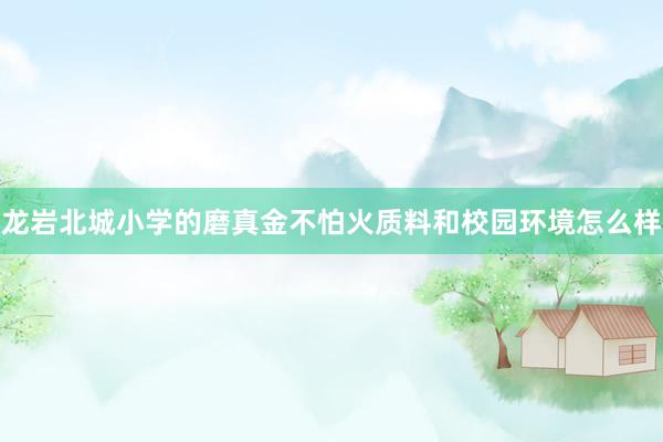 龙岩北城小学的磨真金不怕火质料和校园环境怎么样